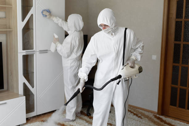24/7 Emergency Odor Removal experts in Cleveland, TX