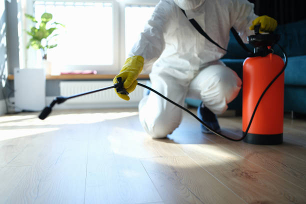 Reliable Odor Removal contractor in Cleveland, TX by Trauma Clean Pros